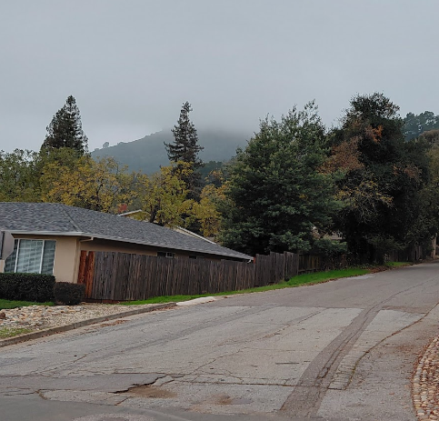 Foggy And Cold – BionicOldGuy