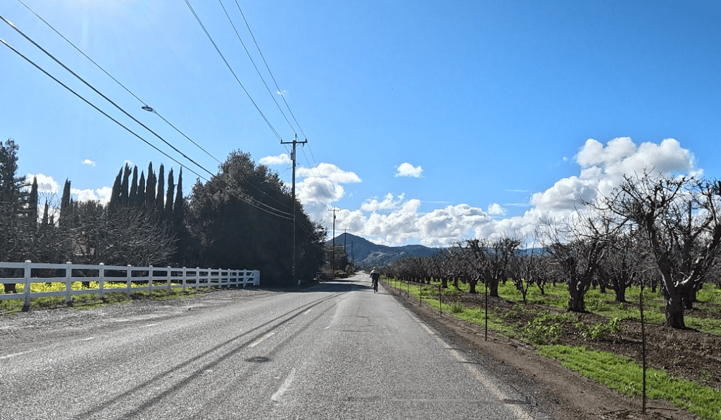 Fitness and Exercise